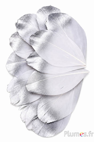 Verenblaadjes - 6-8 x 3-4 cm - wit - zilver